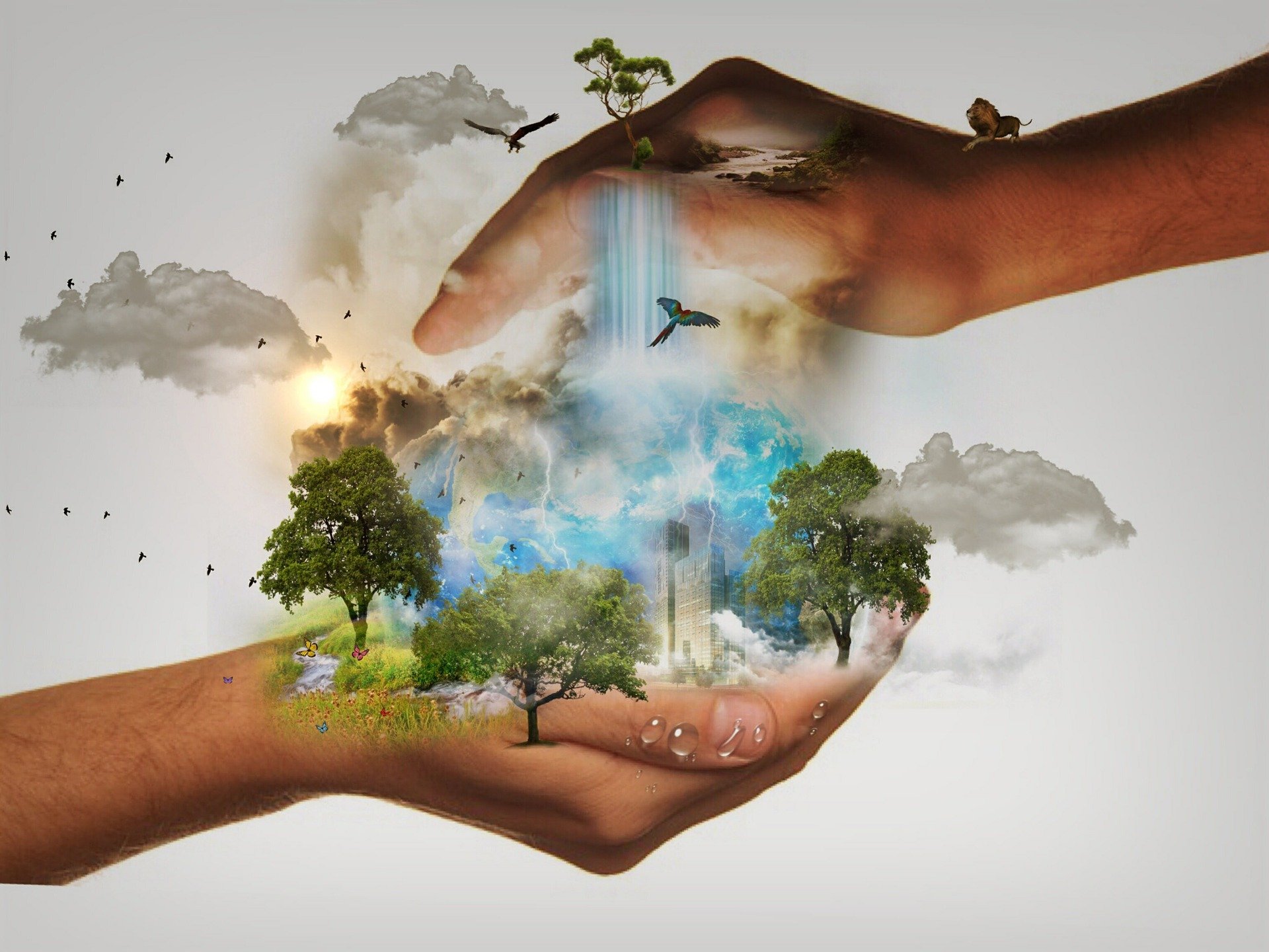 Global Impact